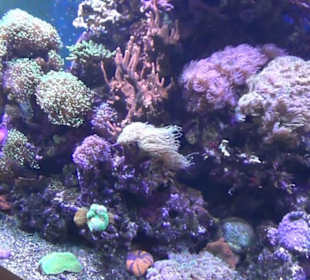 Meeresmuseum Stralsund