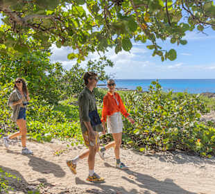 Tour & Ausflug Bayahibe