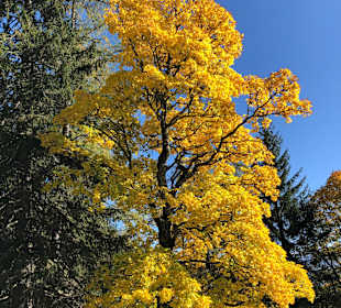 Wandern Schladming