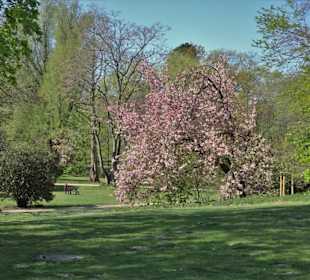 Eindrücke vom Rundgang durch den Inselwallpark