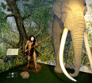 Rundgang durch die Ausstellung des Museums