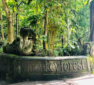 Affenwald in Ubud 