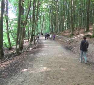 Nationalpark Jasmund
