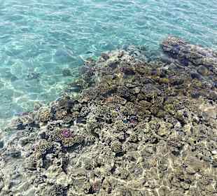 Schnorcheln Makadi Bay