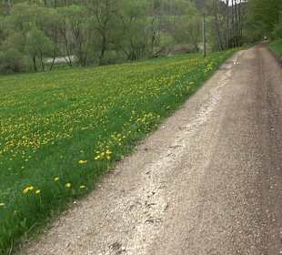 Rundweg Beuron 1