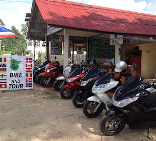The Best Price For  Bike Rent and Tour