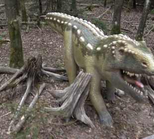 Dinosaurier Museum Altmühltal
