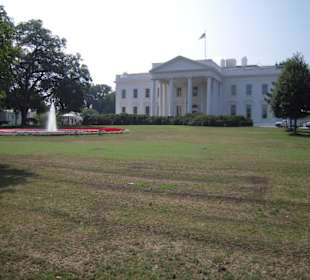 The White House 
