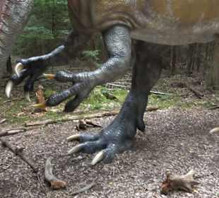 Dinosaurier Museum Altmühltal