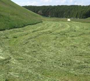Naturdenkmal Kalkstein