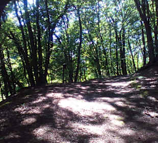 Natur und Vogellehrpfad Längwieser Wald Dittweiler