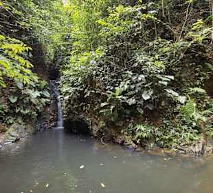 Wasserfall am Gatun See