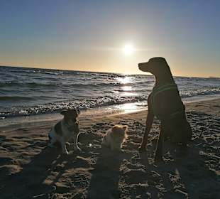 Strand Trassenheide
