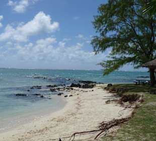 Ile aux Cerfs