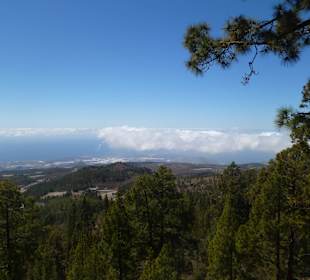 Im Nationalpark Teide