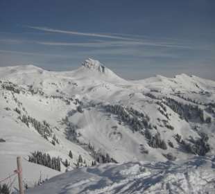 Damülser Mittagspitze