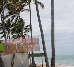 Ein Besuch beim Tropical Treasure