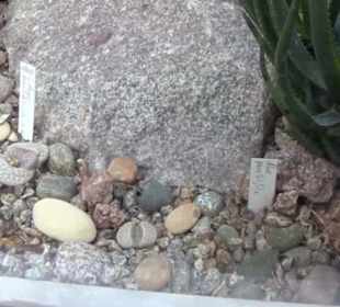 Unteres Kakteenhaus
