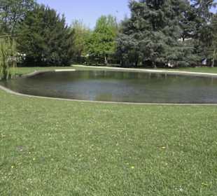 Rheinisches Landesmuseum