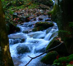 Beruhigendes Rauschen 