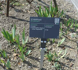 Kräuter Hinweistafel