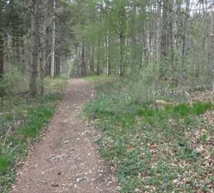 Wanderweg Hochgehswiggert