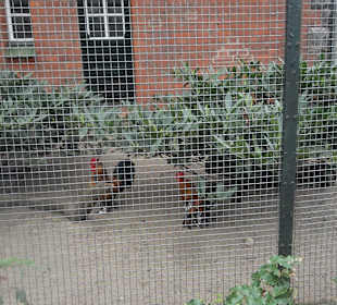 ZOO Berlin