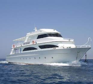 Schiff für Delphinausflug