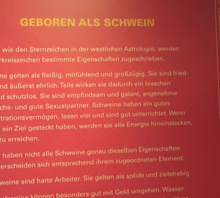 SchweineMuseum
