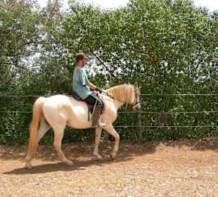 Reitunterricht /Lagos