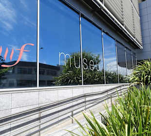 Gläserne Front des Pharmaziemuseums