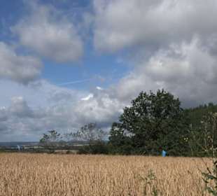 Naturschutzgebiet Zollerhalde Zimmern