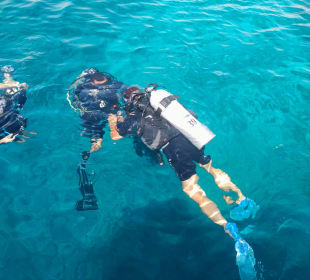 Tauchen Makadi Bay