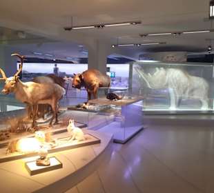 Staatliches Museum für Archäologie