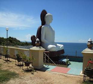 Budda Tempel oberhalb von Galle