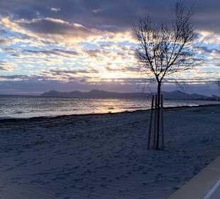 Sonnenaufgang Can Picafort