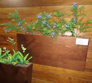 In den Räumen des Museo del Queso Majorero