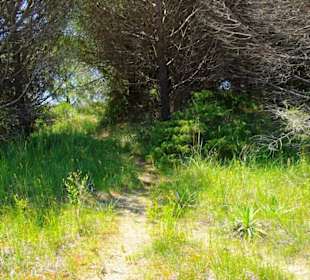 FKK-Weg-Bereiche