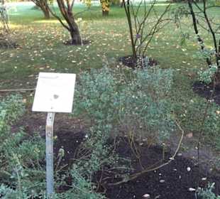 Botanischer Garten