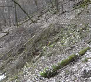 Wasserfallsteig