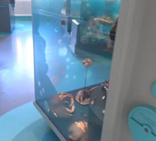 Museum für Naturkunde