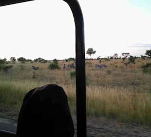 Krüger Nationalpark