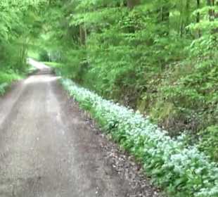 Naturpark Schönbuch