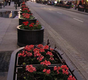 Старая Варшава