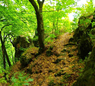 Aufstieg zum Ausblick