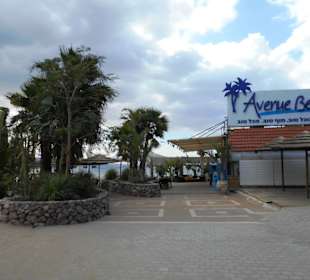 Avenue Beach