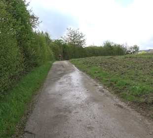 Naturerlebnisweg des NABU-Metzingen