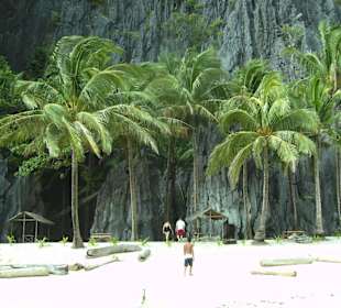 Bilderbuchstrand mit Palmen beim Schnorchelstrand
