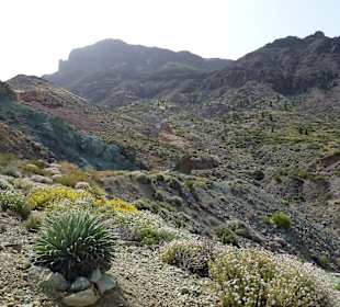 Nationalpark --> Teide