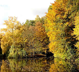 Herbstspaziergang durch den Bürgerpark Bremen